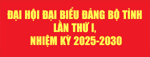 Đại hội Đảng bộ