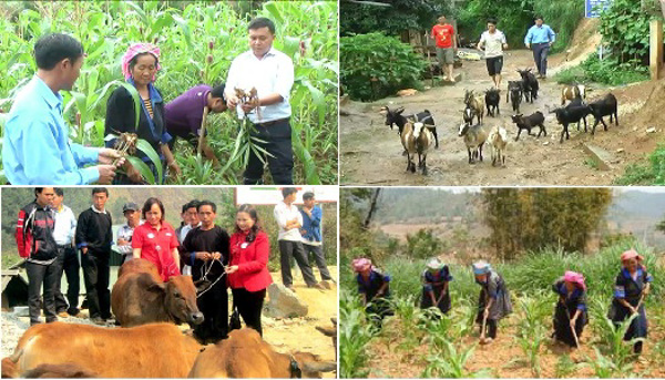 Hướng dẫn thực hiện các nhiệm vụ, chỉ tiêu Dự án 6 thuộc Chương trình MTQG phát triển KT-XH vùng đồng bào dân tộc thiểu số và miền núi năm 2022