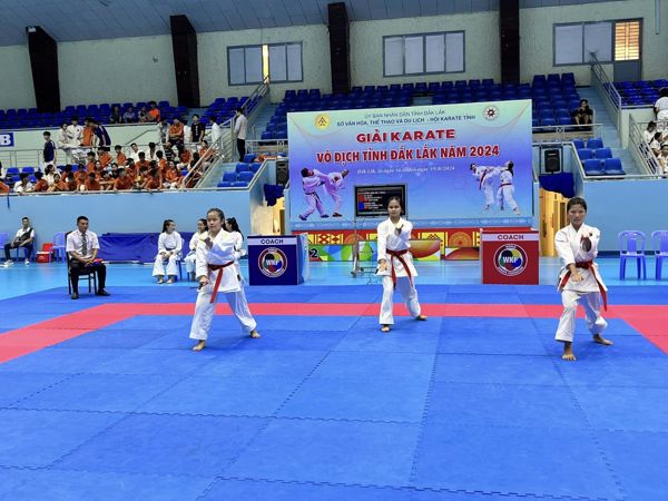Giải Karate vô địch tỉnh Đắk Lắk năm 2024