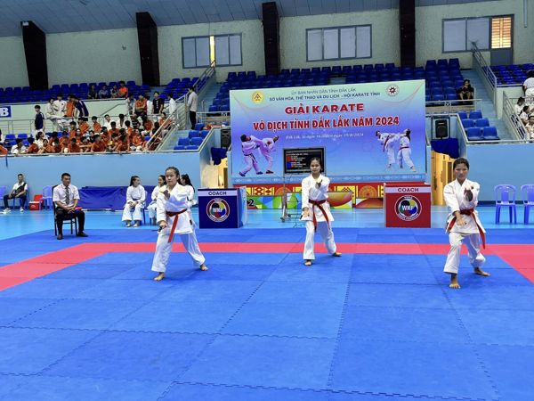 Giải Karate vô địch tỉnh Đắk Lắk năm 2024