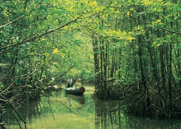 Triển lãm "Tuần Văn hóa Du lịch Di sản xanh - Nơi gặp gỡ con người và thiên nhiên"