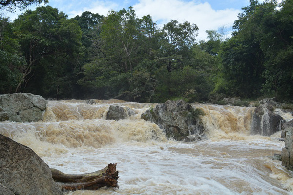 Phê duyệt đề cương, dự toán kinh phí nhiệm vụ xây dựng: Đề án du lịch sinh thái, nghỉ dưỡng, giải trí của Ban quản lý rừng Khu bảo tồn thiên nhiên Ea Sô