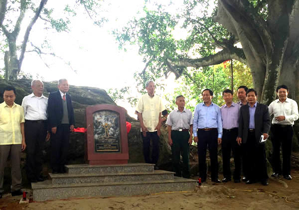 Chương trình tôn vinh và bảo tồn Cây Di sản Việt Nam với phong trào xã hội hóa BVMT