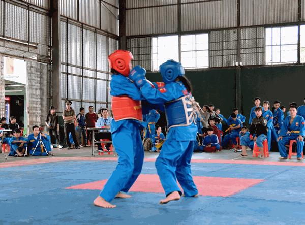 Mật độ tập luyện trên sàn môn Võ cổ truyền, môn Vovinam bảo đảm ít nhất 2,5m²/người 