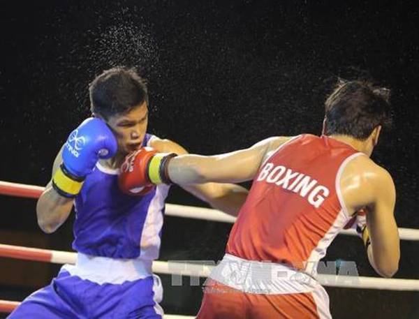 Đắk Lắk đăng cai tổ chức Giải Vô địch cúp các Câu lạc bộ Boxing toàn quốc năm 2018