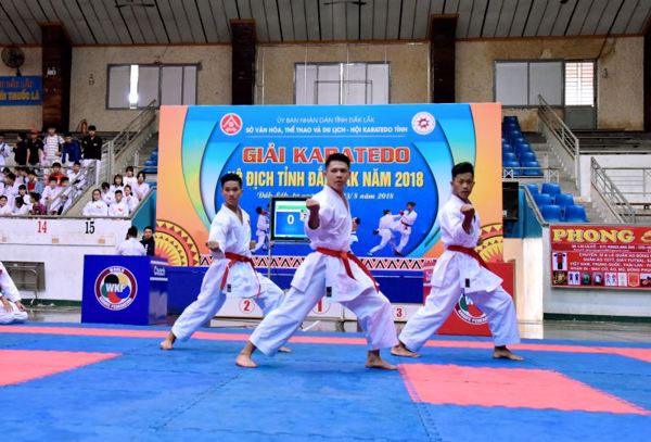 230 Vận động viên tham gia Giải Karatedo vô địch tỉnh Đắk Lắk năm 2018
