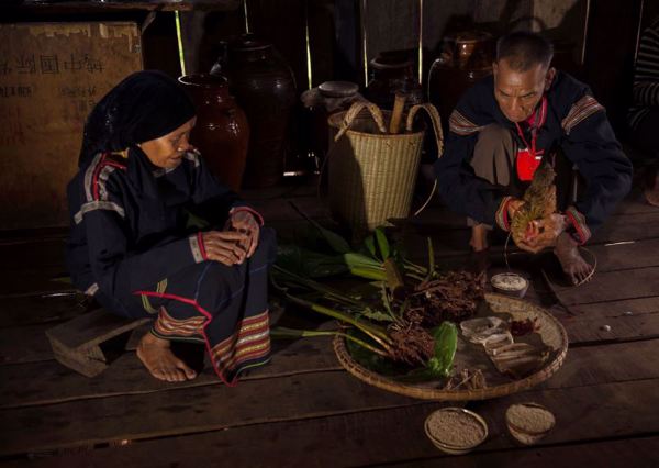 Lễ cúng cắm cây nêu mừng lúa trổ bông của người M'nông Gar