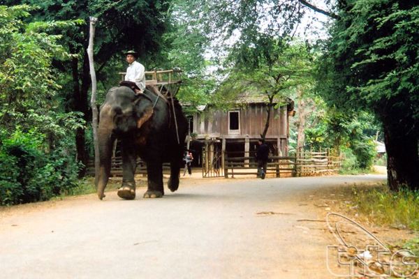 Buôn Đôn thành lập Ban Chỉ đạo Phát triển Du lịch