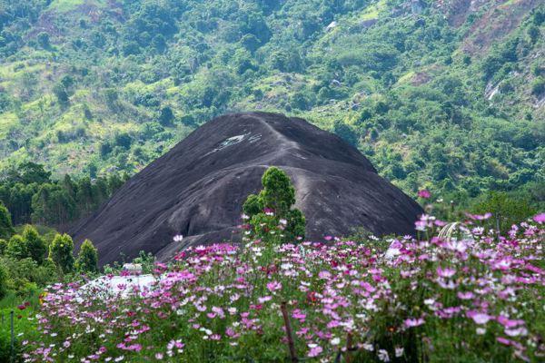 Hướng dẫn các cơ sở lưu trú du lịch đăng ký và tự đánh giá an toàn Covid-19