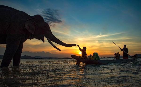 Liên hoan ảnh nghệ thuật khu vực Nam Trung Bộ - Tây Nguyên lần thứ 26:: Đắk Lắk có 11 tác phẩm được chọn vào triển lãm