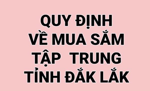 ​Ban hành Quy định mua sắm tài sản công theo phương thức tập trung trên địa bàn tỉnh Đắk Lắk