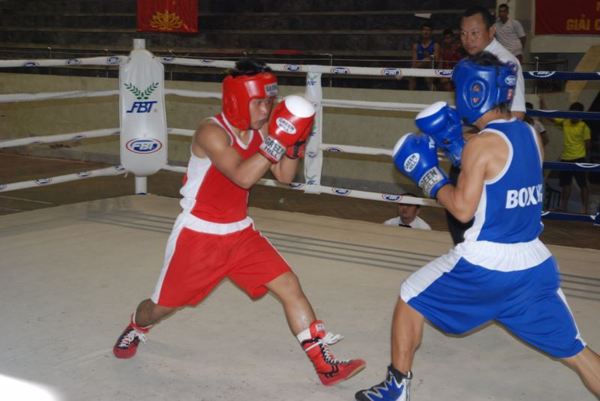 Tổ chức Giải Vô địch Cúp các Câu lạc bộ Boxing năm 2019