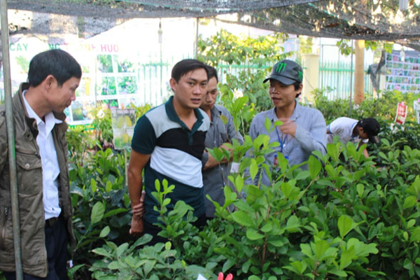 Nông dân với Lễ hội cà phê Buôn Ma Thuột 