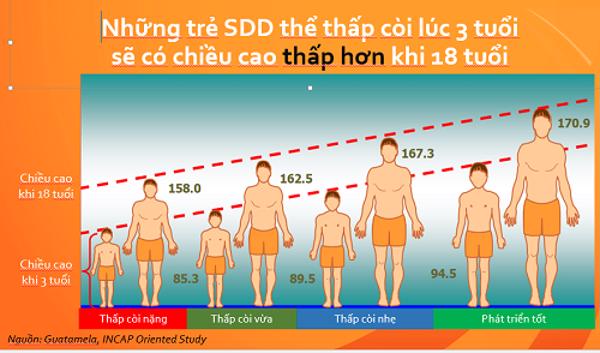 Đề án tổng thể phát triển thể lực, tầm vóc người Việt Nam “giẫm chân tại chỗ”: Bộ Y tế ngoài cuộc?