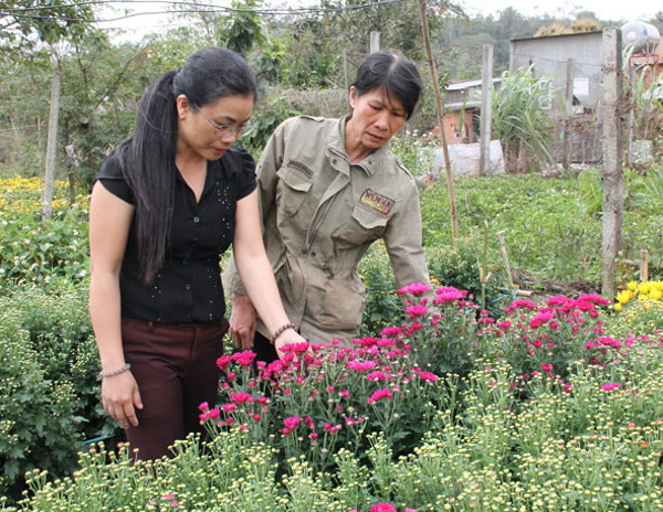 Phụ nữ huyện Cư Kuin góp sức xây dựng nông thôn mới
