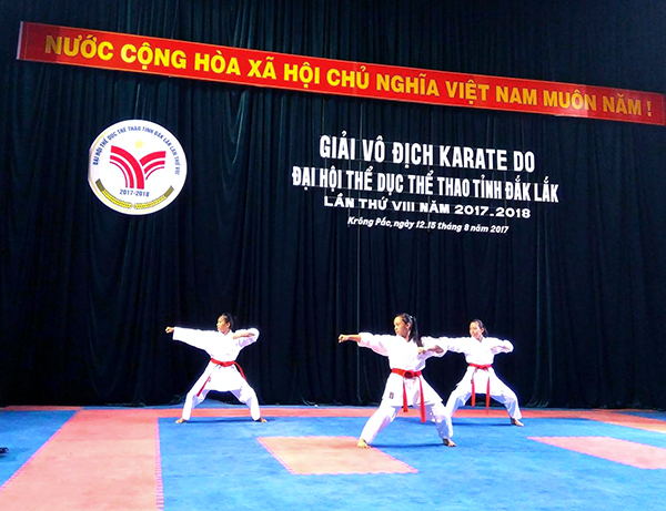Mật độ tập luyện karate trên sàn bảo đảm ít nhất 03m²/võ sinh
