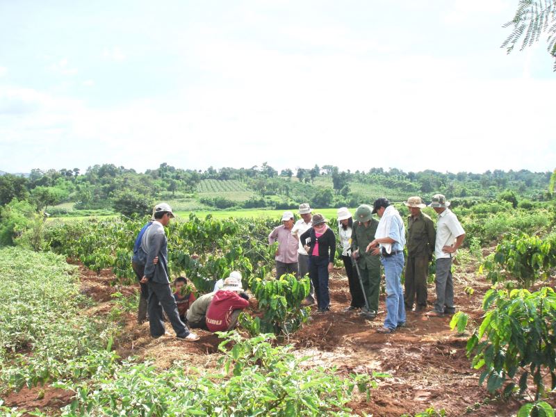 Bảo tàng Đắk Lắk phối hợp với Viện Khảo cổ học và người dân khảo sát  các địa điểm phát hiện trống đồng trên địa bàn tỉnh