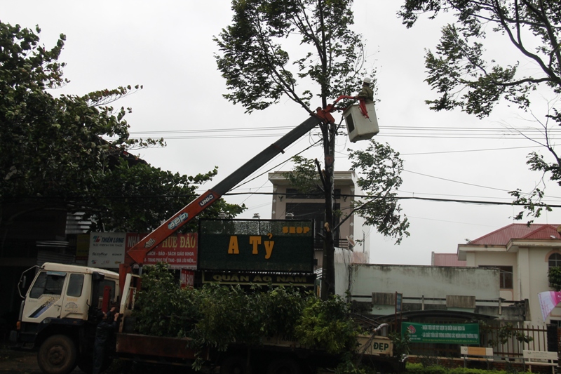 Ngành điện cắt tỉa cây xanh trên Quốc lộ 26 đoạn qua thị trấn Phước An (huyện Krông Pắc) để bảo đảm an toàn lưới điện.