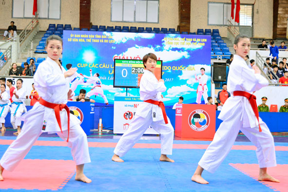 Võ sinh karatedo huyện Krông Pắc biểu diễn võ thuật.