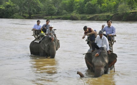 ... và cưỡi voi vượt sông Sêrêpốk luôn hấp dẫn du khách