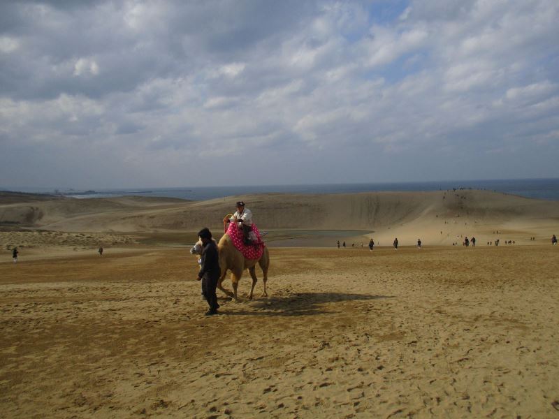 Dạo chơi trên đồi cát bằng lạc đà