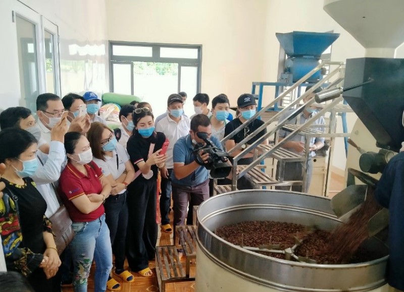 Khách tham quan quy trình sản xuất chế biến cacao