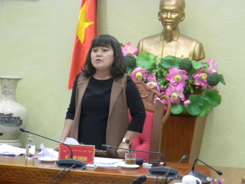 Phó Chủ tịch UBND tỉnh H’Yim Kđoh phát biểu tại cuộc họp