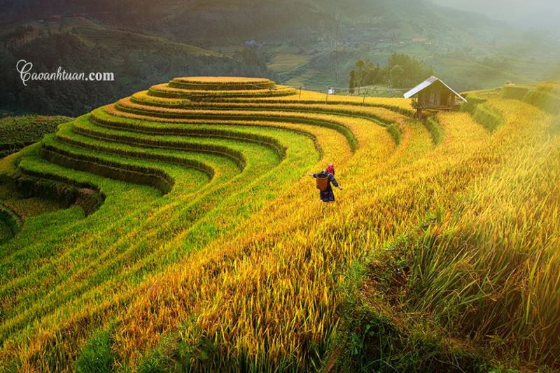 Mùa thu ở Sapa (ảnh: Cao Anh Tuấn)