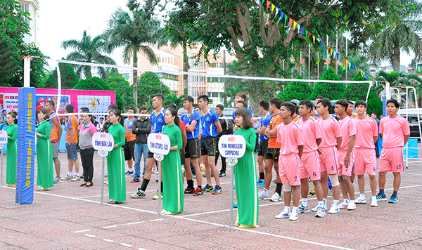 Các đội tham gia giải