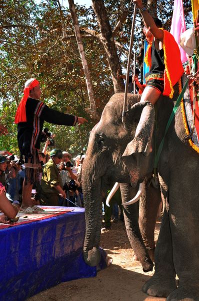 Lễ cúng sức khỏe voi mang đậm bản sắc văn hóa các dân tộc thiểu số Tây Nguyên cần được giữ gìn, bảo tồn, phát triển.