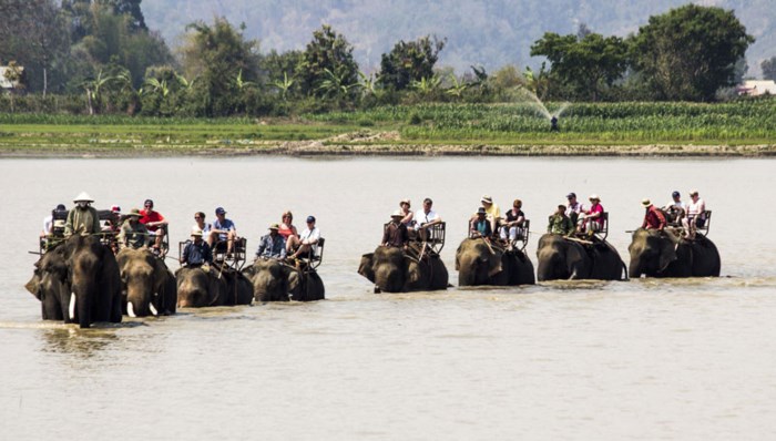 Khách du lịch tham quan hồ Lắk