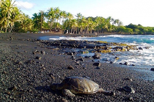 Bãi biển cát đen ở Hawaii, Mỹ