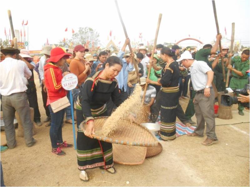 Thi giã gạo trong Lễ hội văn hóa truyền thống các dân tộc huyện Buôn Đôn 