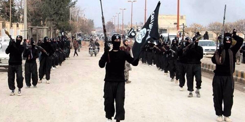 Binh sĩ lực lượng Nhà nước Hồi giáo (IS) tự xưng. (Ảnh: Business Insider/Amwal al Ghad)