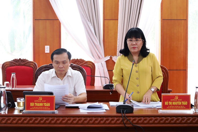 Phó Chủ tịch Thường trực UBND tỉnh Hồ Thị Nguyên Thảo thảo luận tại buổi làm việc.