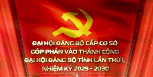 Đại hội đảng bộ cấp cơ sở